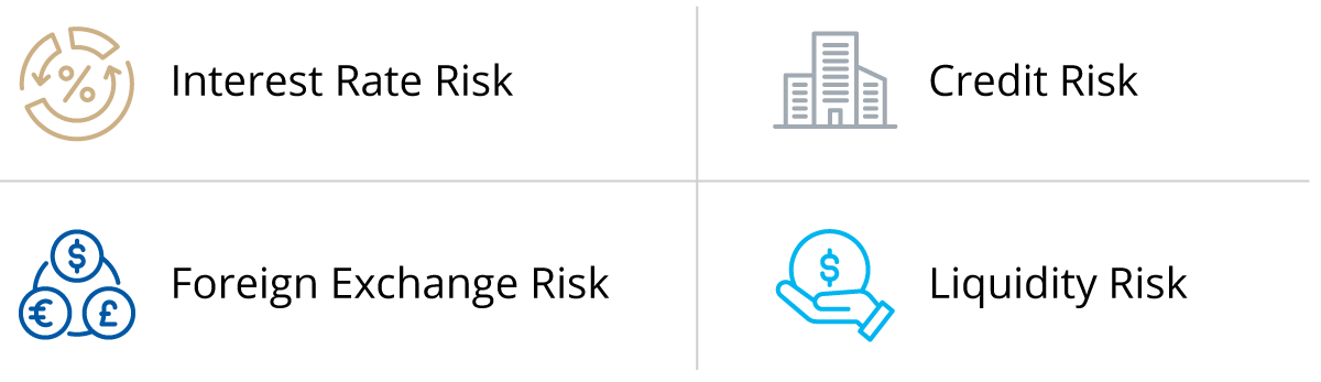 Four key risks: Interest rate risk, credit risk, foreign exchange risk, liquidity risk