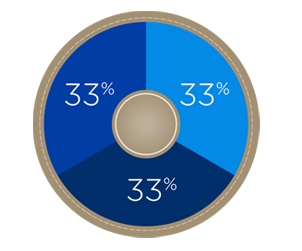 IA Clarington Global Equity Plus underlying funds