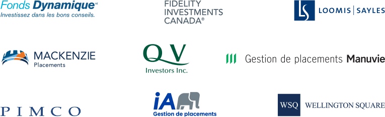 Portfolio Segment Managers