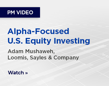 Video update on the IA Clarington Loomis U.S. All Cap Growth Fund. 